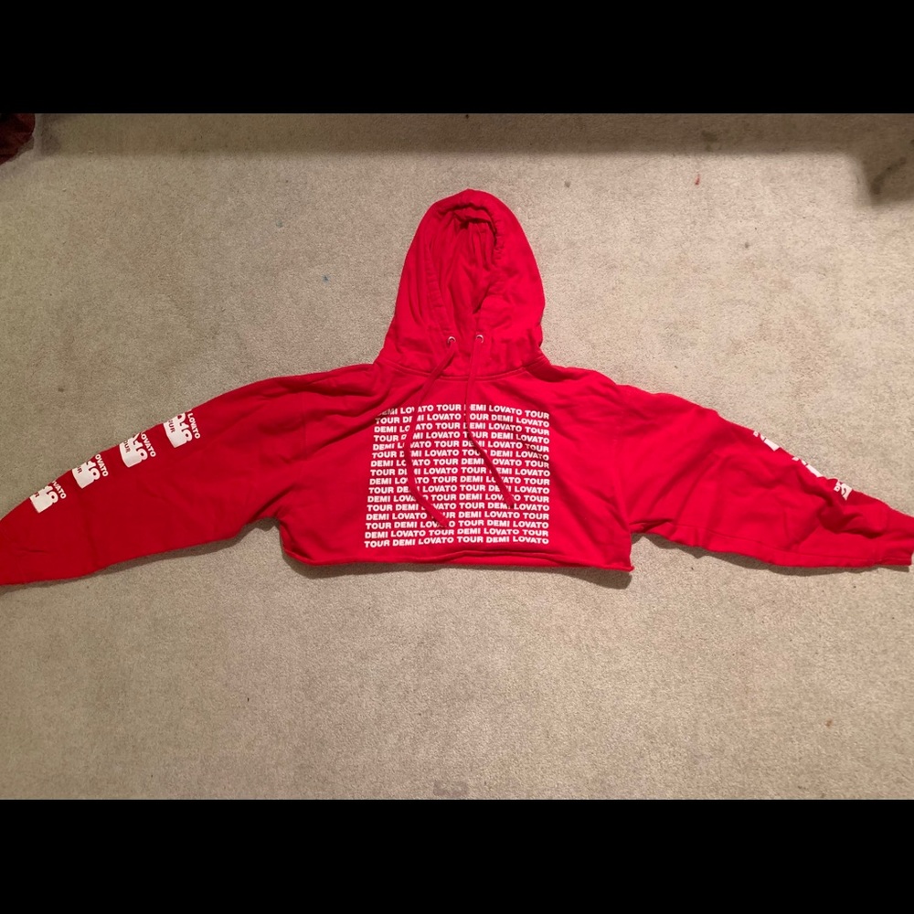 Demi Lovato Cropped Sweatshirt